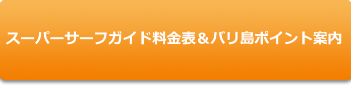 スーパーサーフガイド料金表&バリ島ポイント案内