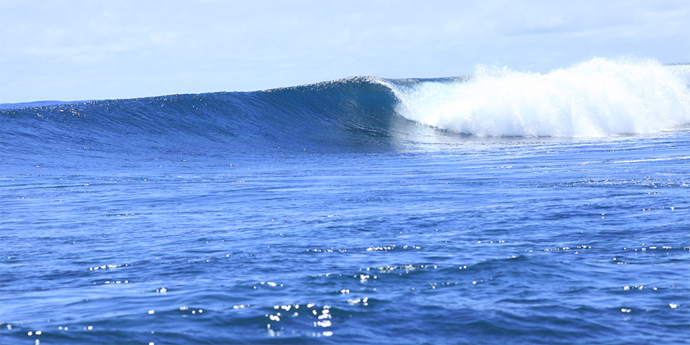 �p���I �T�[�t�g���b�v