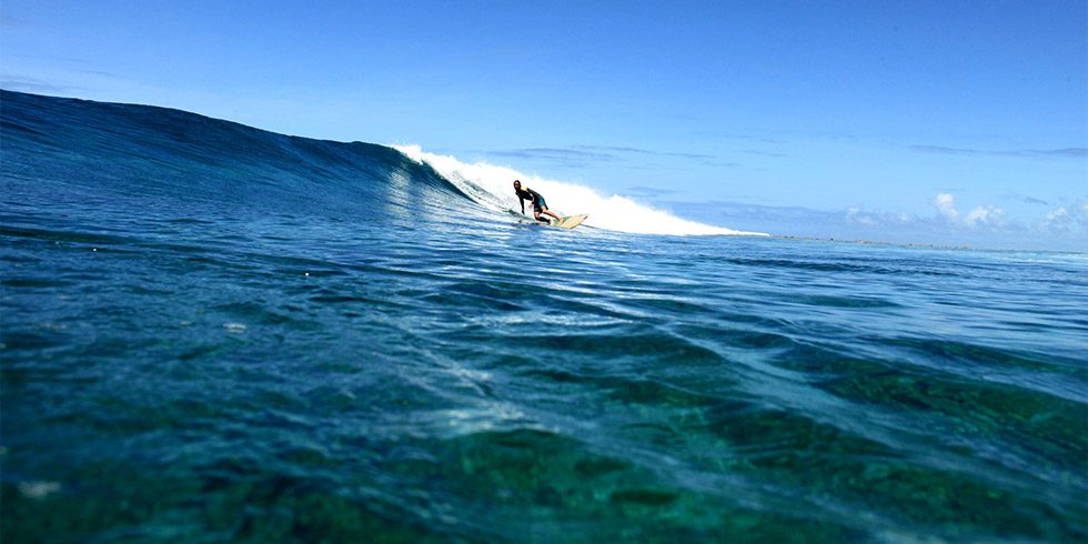 �p���I �T�[�t�g���b�v