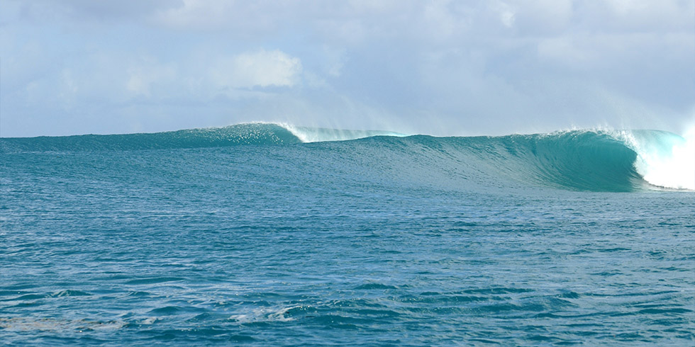 �p���I �T�[�t�g���b�v