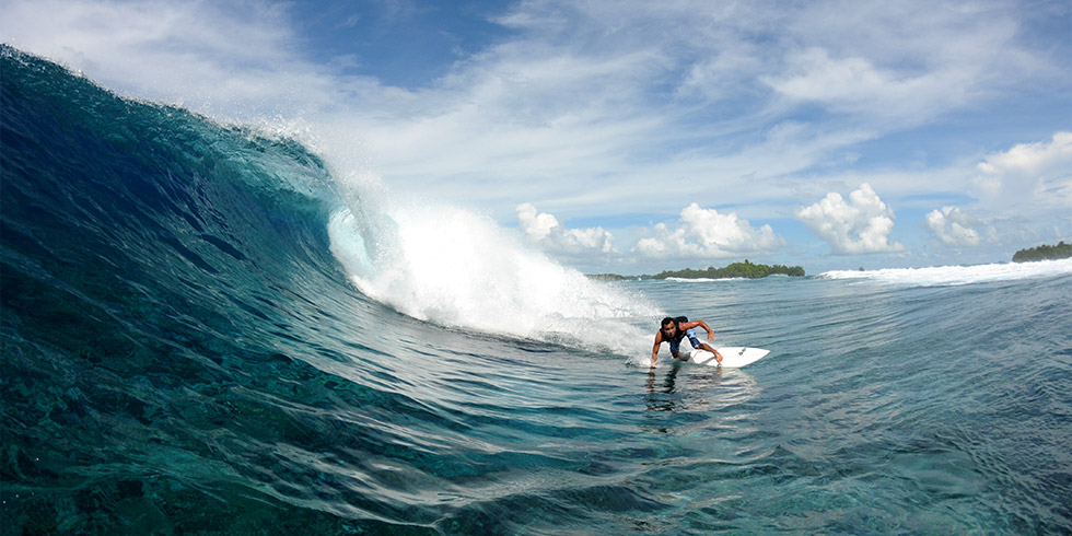 �p���I �T�[�t�g���b�v